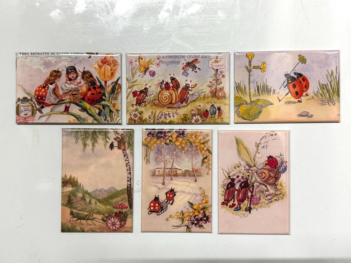 Vintage lady bug magnets 2x3 inch