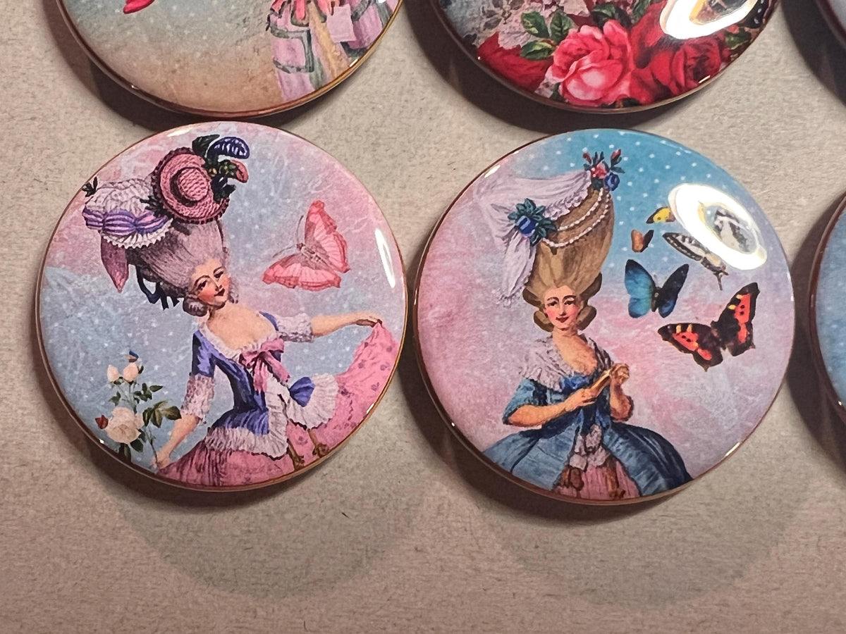 6 Marie Antoinette Shabby Chic Fridge Magnets.  Choose your size/style. (S2)