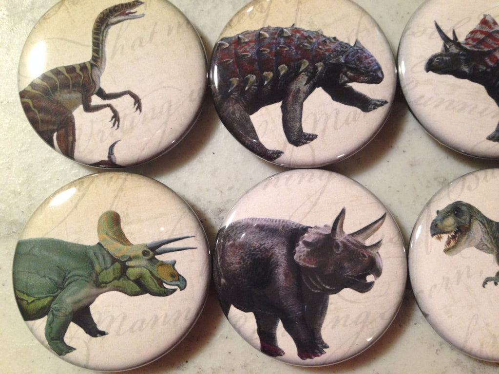 Dinosaur Buttons: Pinbacks, Magnets, Flatbacks - Set of 8