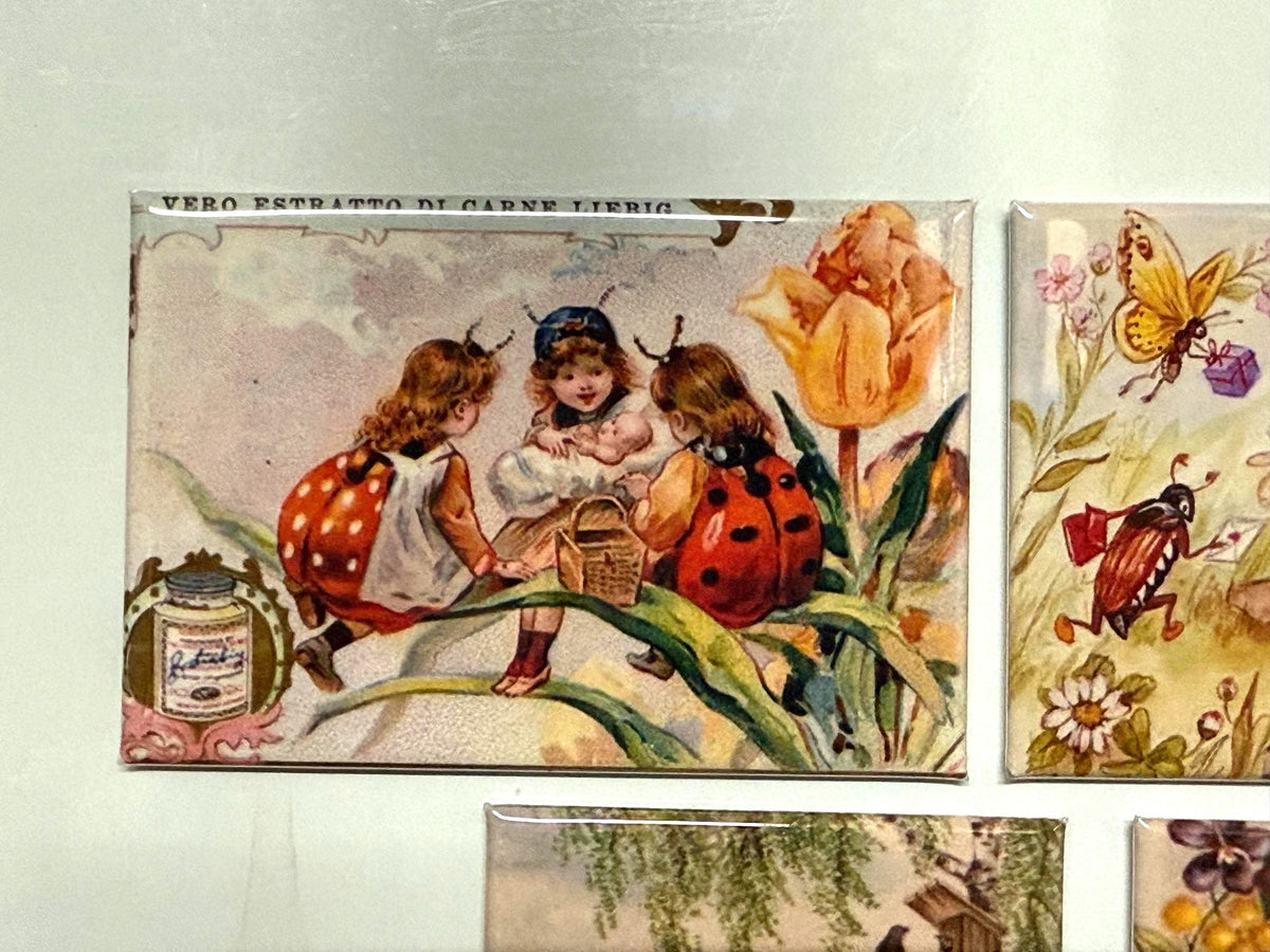 Vintage lady bug magnets 2x3 inch