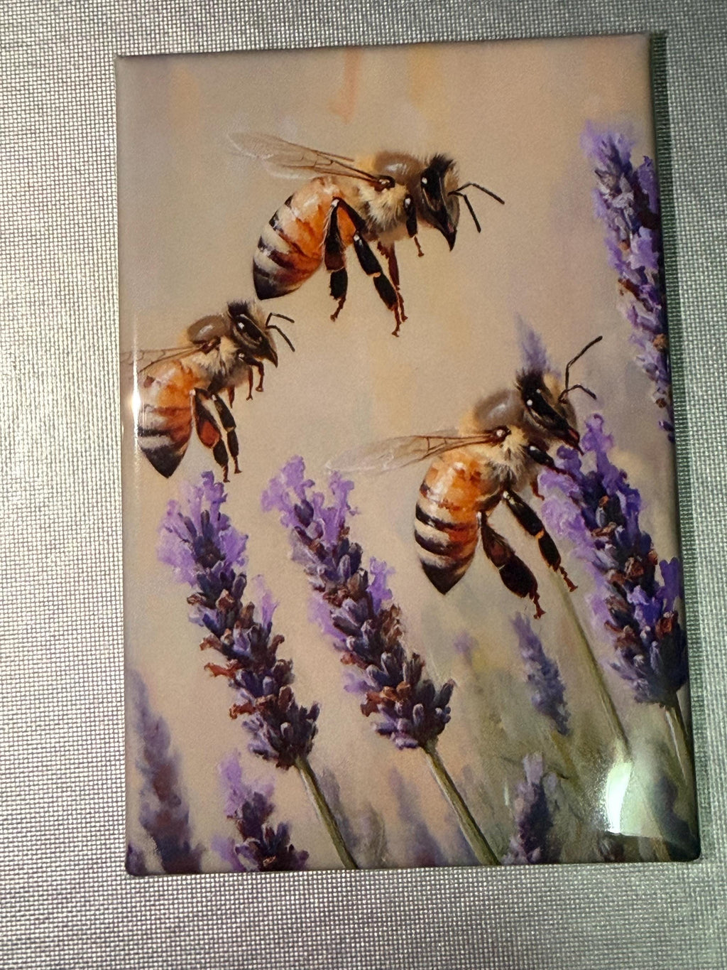 Naturalist, bug, insect, nature lover magnets sold individually or purchase them all
