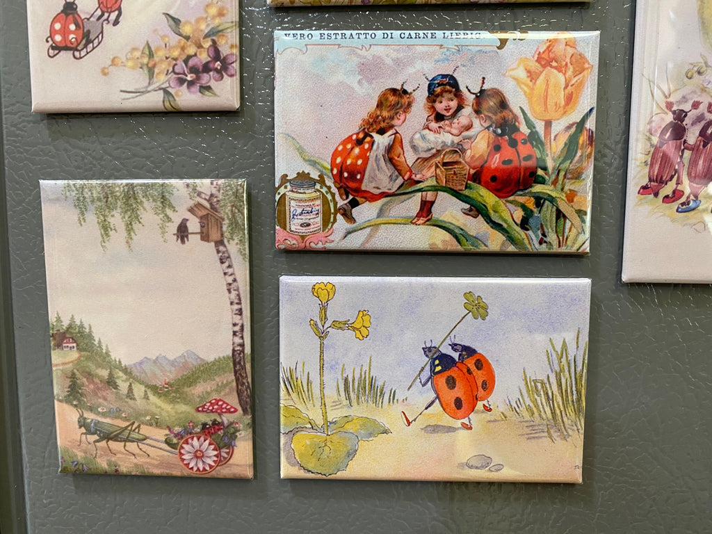Vintage lady bug magnets 2x3 inch