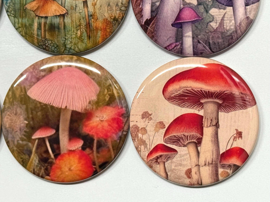 6 Mystical mushrooms pinbacks, flatbacks or magnets Set 1.  Choose your size/style.