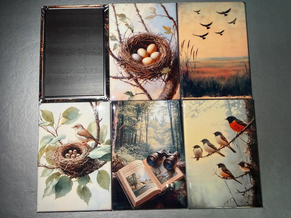 Naturalist, birding, bird watcher magnets sold individually or purchase them all