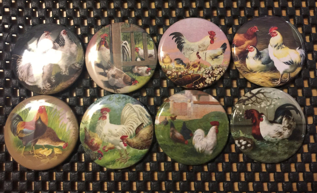 Vintage Rooster & Chickens Magnets or Pinbacks - Set of 8