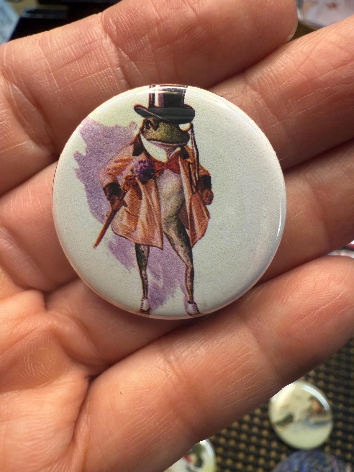 Vintage Frog Magnet Set: Reptile Toad Picture Buttons