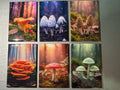 Trippy Mushroom magnets sold individually or purchase them all