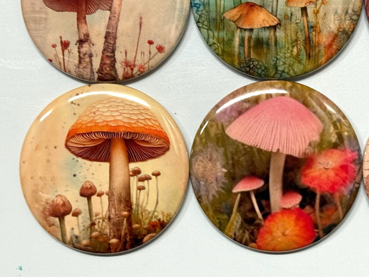 6 Mystical mushrooms pinbacks, flatbacks or magnets Set 1.  Choose your size/style.