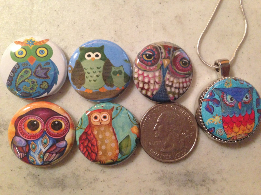 6 owls, hoot owls magnets, pinbacks, flatbacks, keychains, or necklace set. You choose.