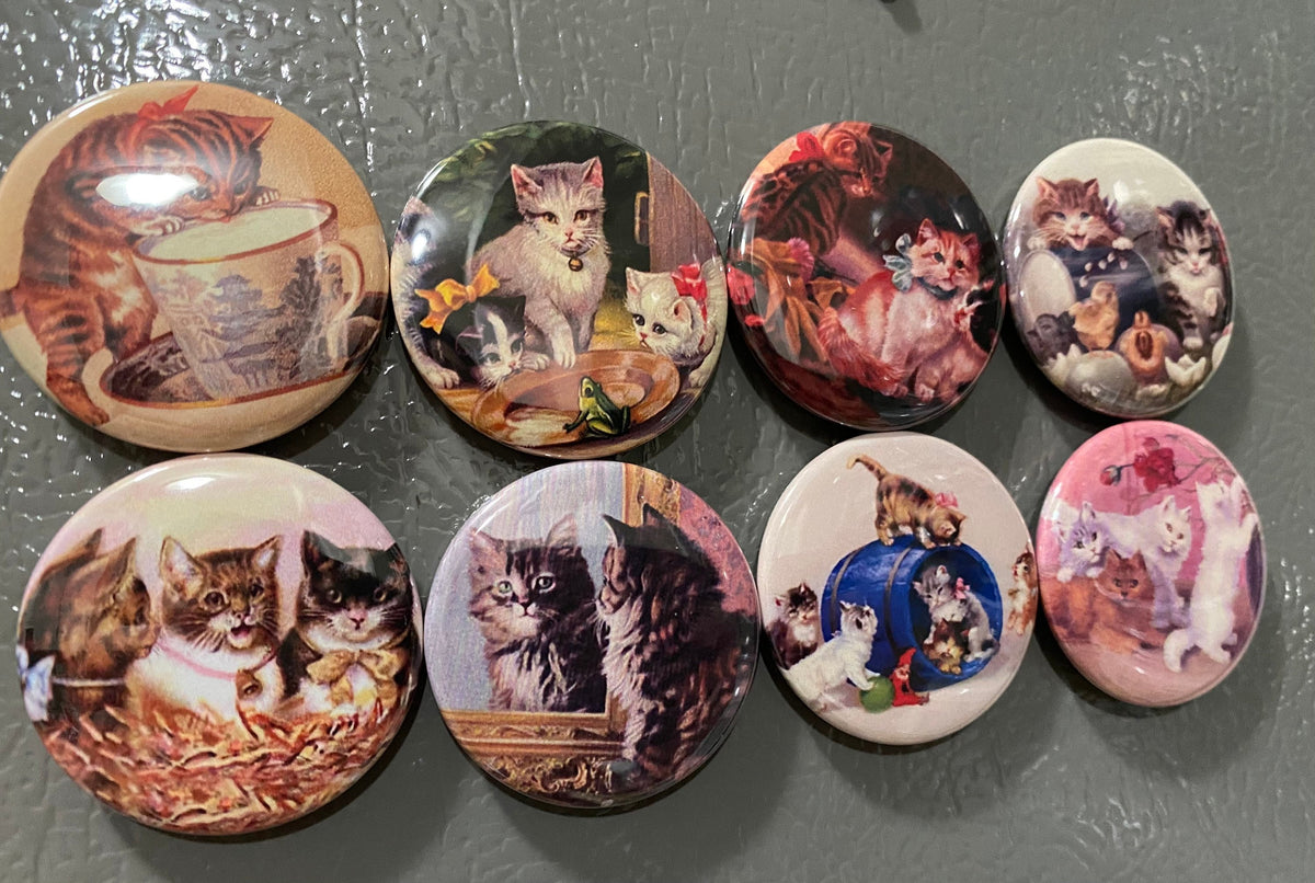 8 Kitten and Cat Fridge Magnets, pinback or flatback Set 2